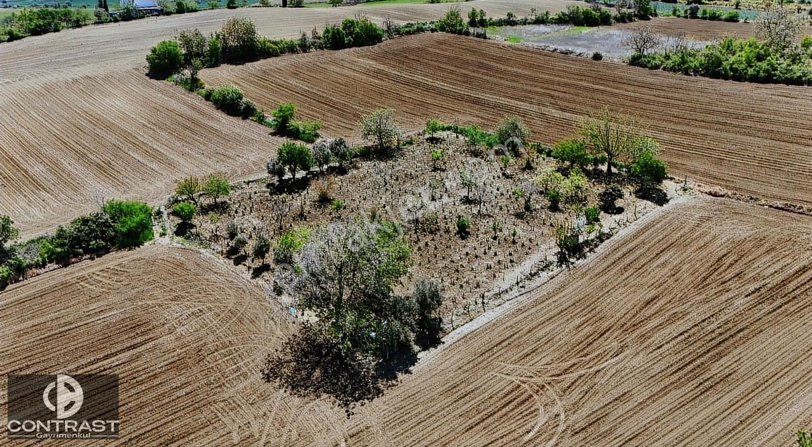 2150 M2 Üzüm Bağı, Yeni Olacak Çanakkale Yoluna 500 Mt Mesafede