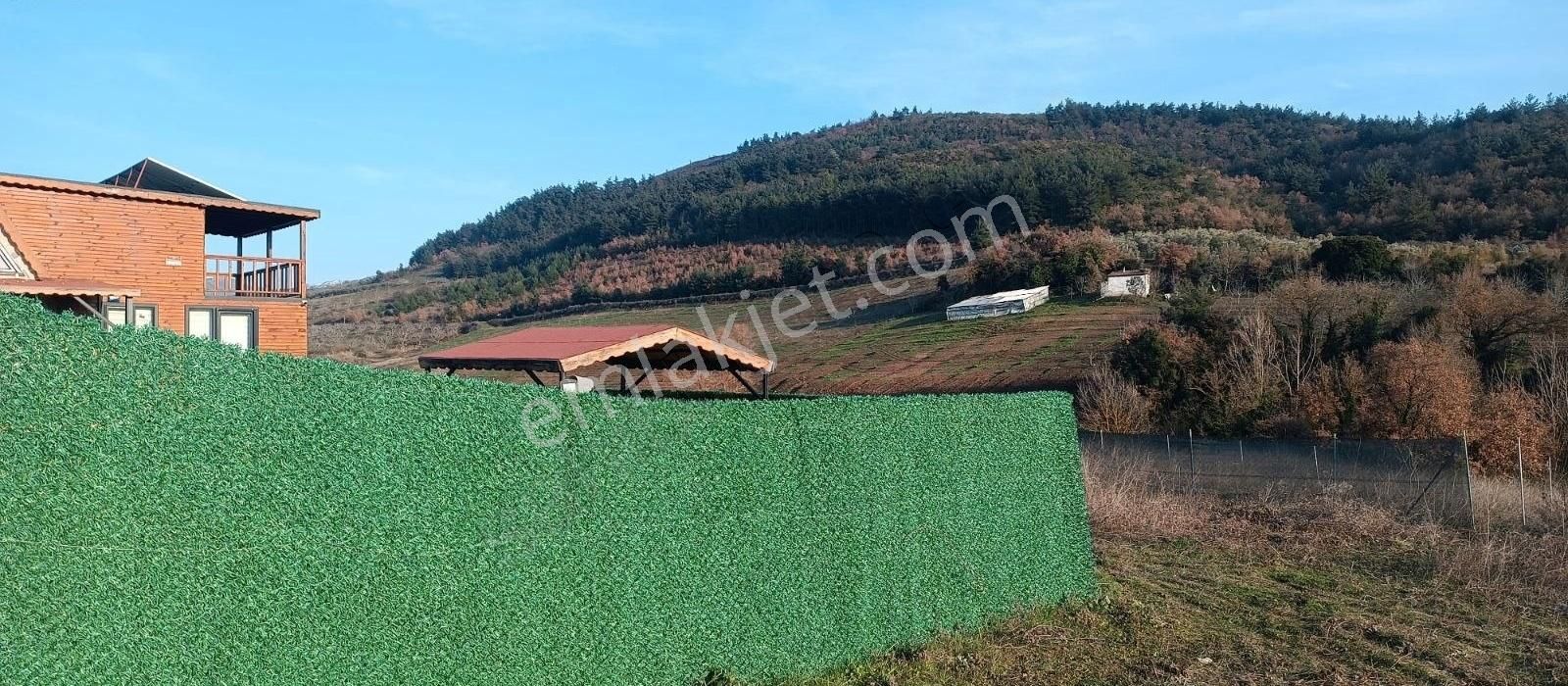 Demirtaş Avdancık Ta 1224 M2 Satılık Tarla