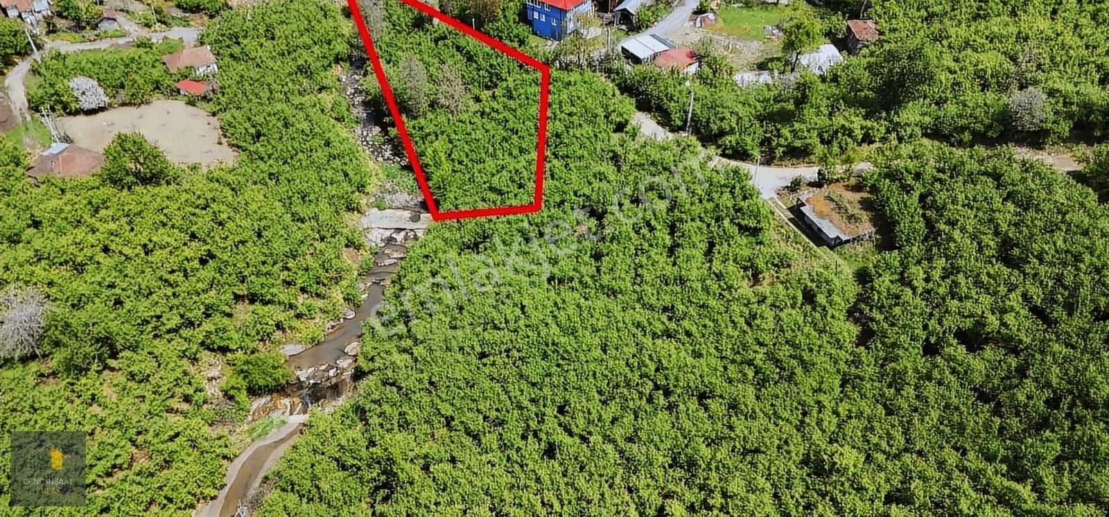 Kocaali'de Doğa İle İç İçe 1214 M² Kısmi İmarlı Fındık Bahçesi