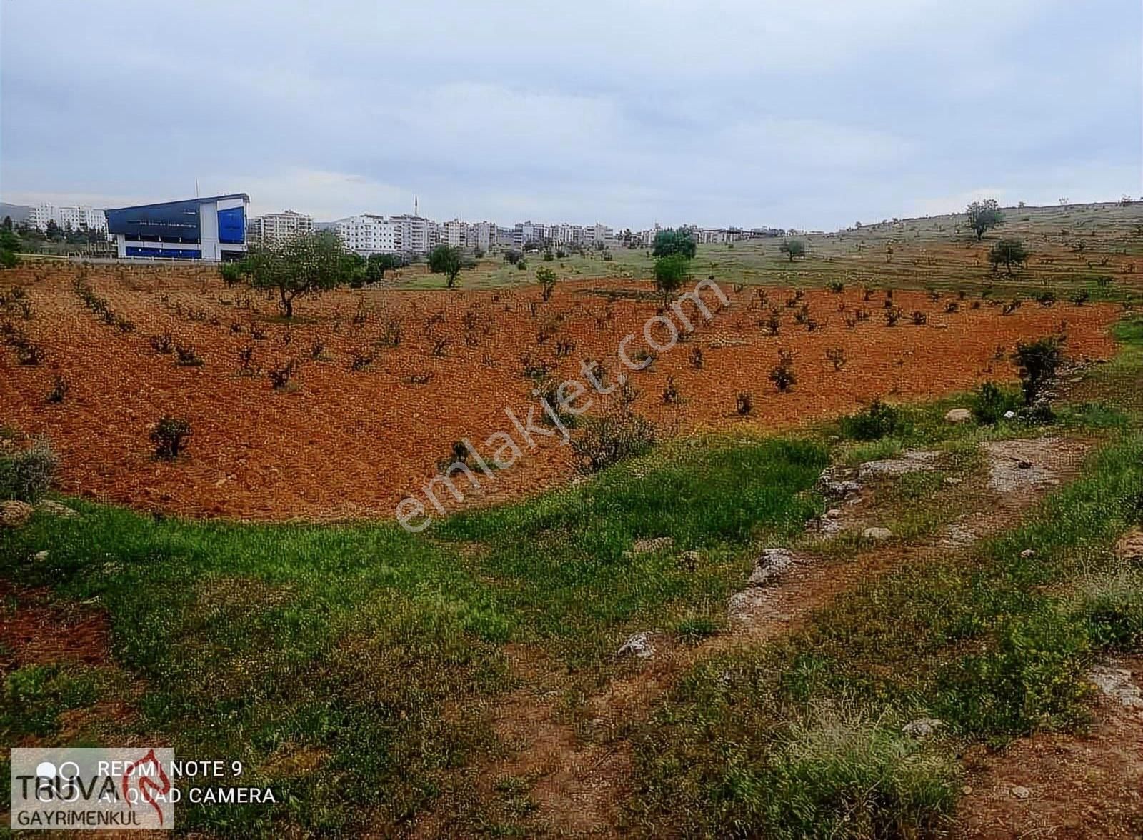 Midyat Ulucami Mahallesinde 1488 M2 Arsa