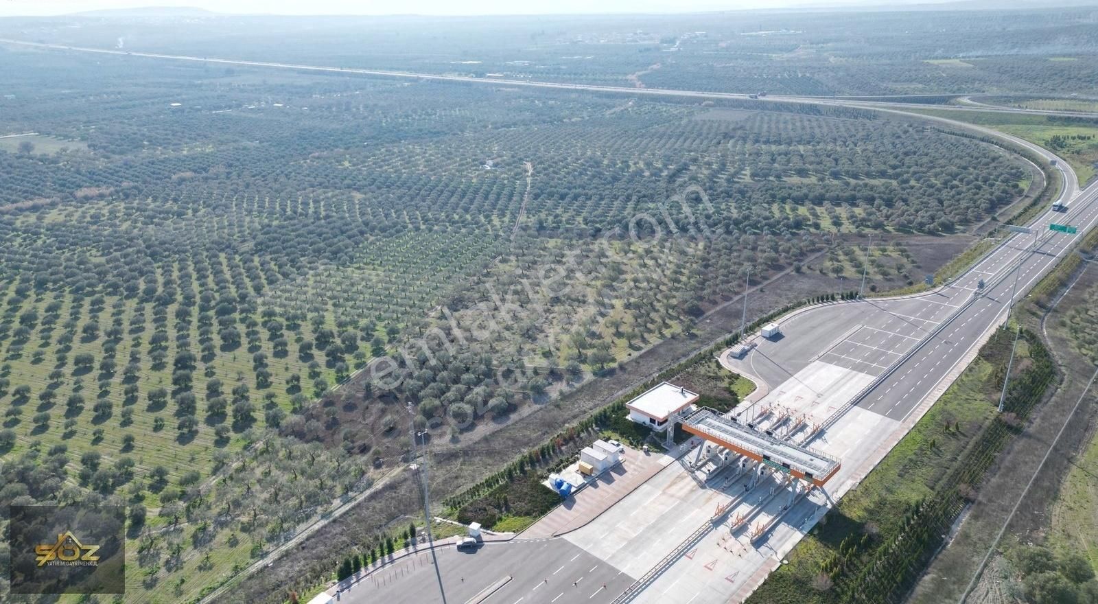 Bünyanosmaniye'de Otoban Yanı Hisseli 8300m2 Satılık Zeytinlik - Görsel 2