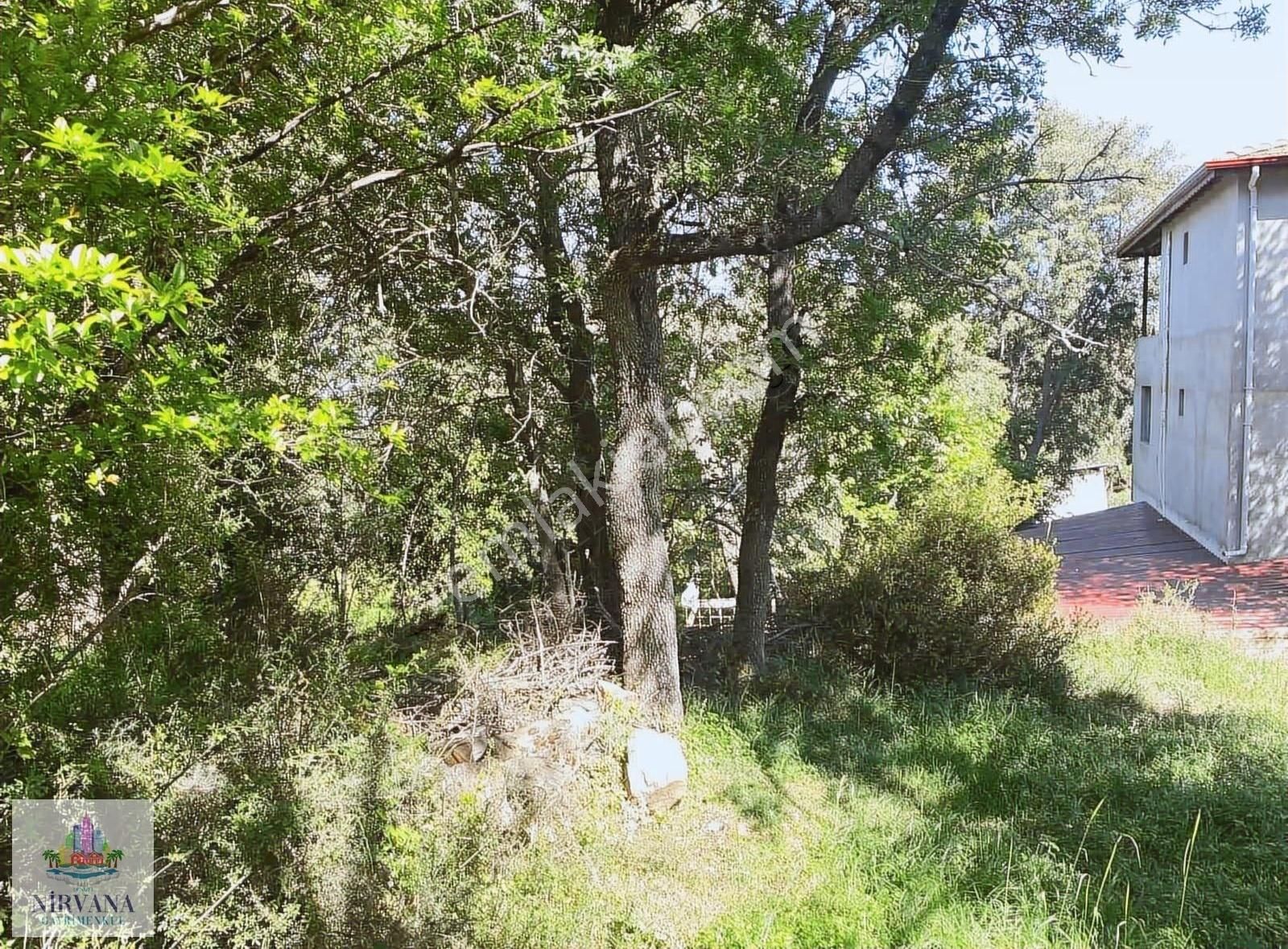 Başkarcı'da 1.475 M² İmar'a Yakın Satılık Tarla