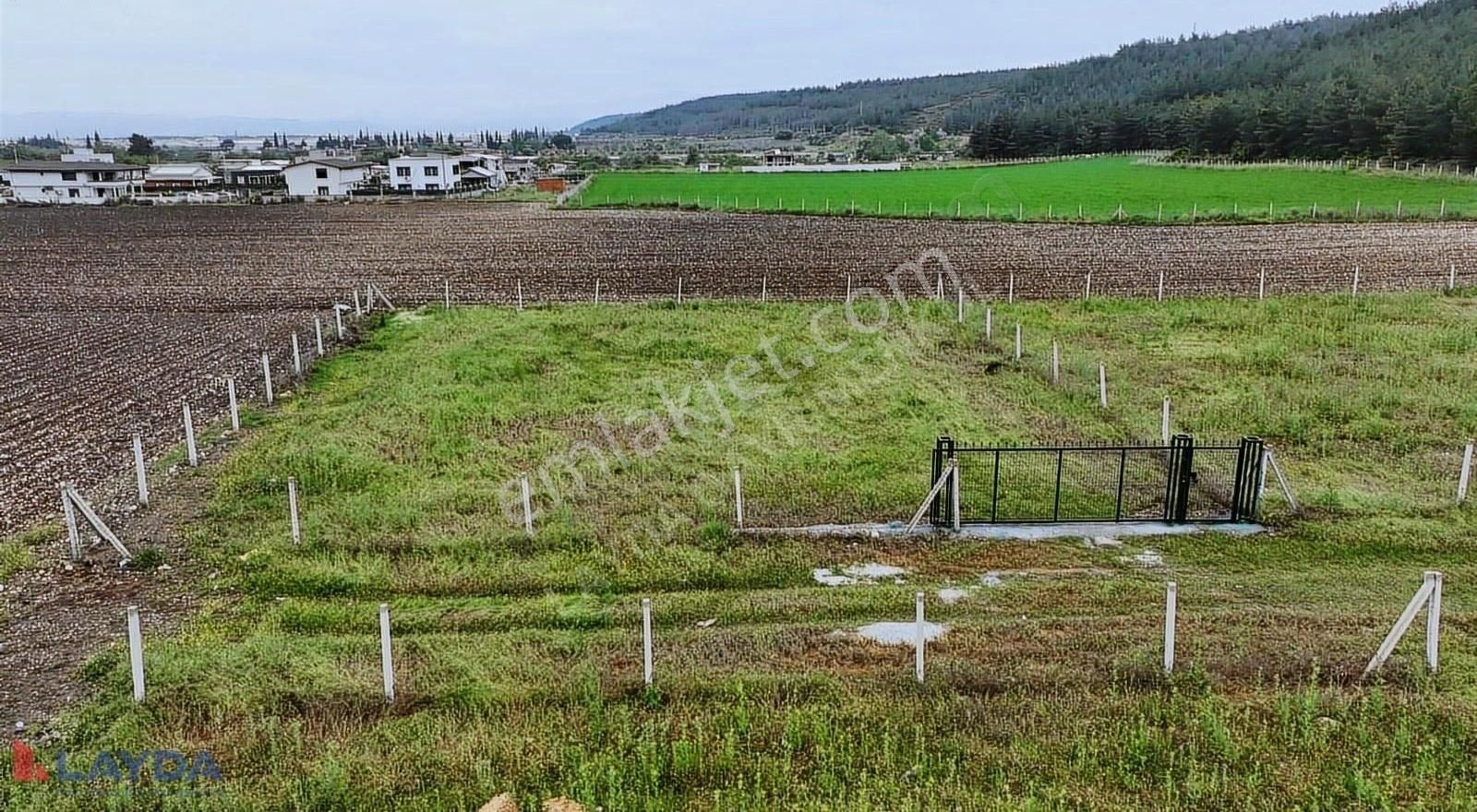 Layda'dan Hisse Tapulu Satılık Tarla