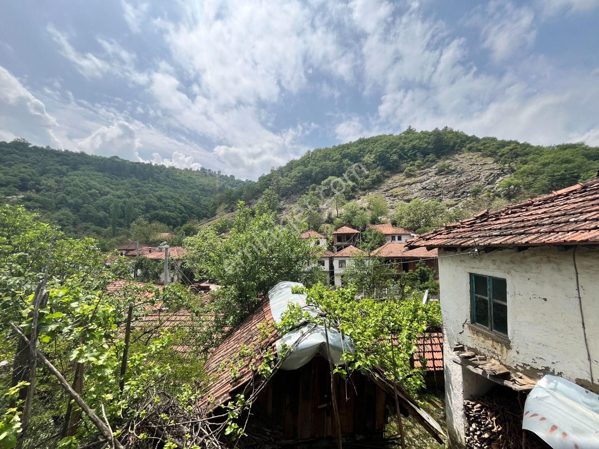 Doğa İçinde Köy Hayatı Arayanlara Satılık Orjinal Köy Evi - Görsel 25