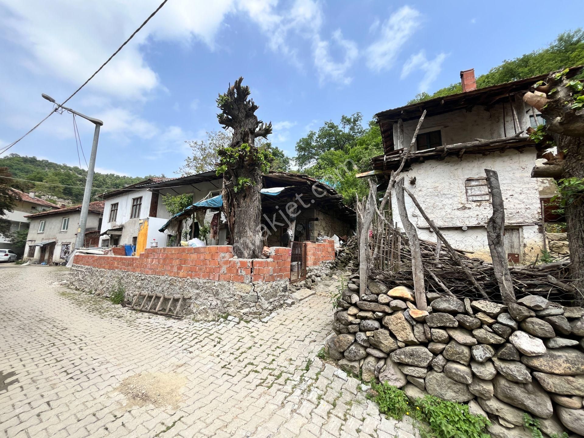 Doğa İçinde Köy Hayatı Arayanlara Satılık Orjinal Köy Evi - Görsel 34