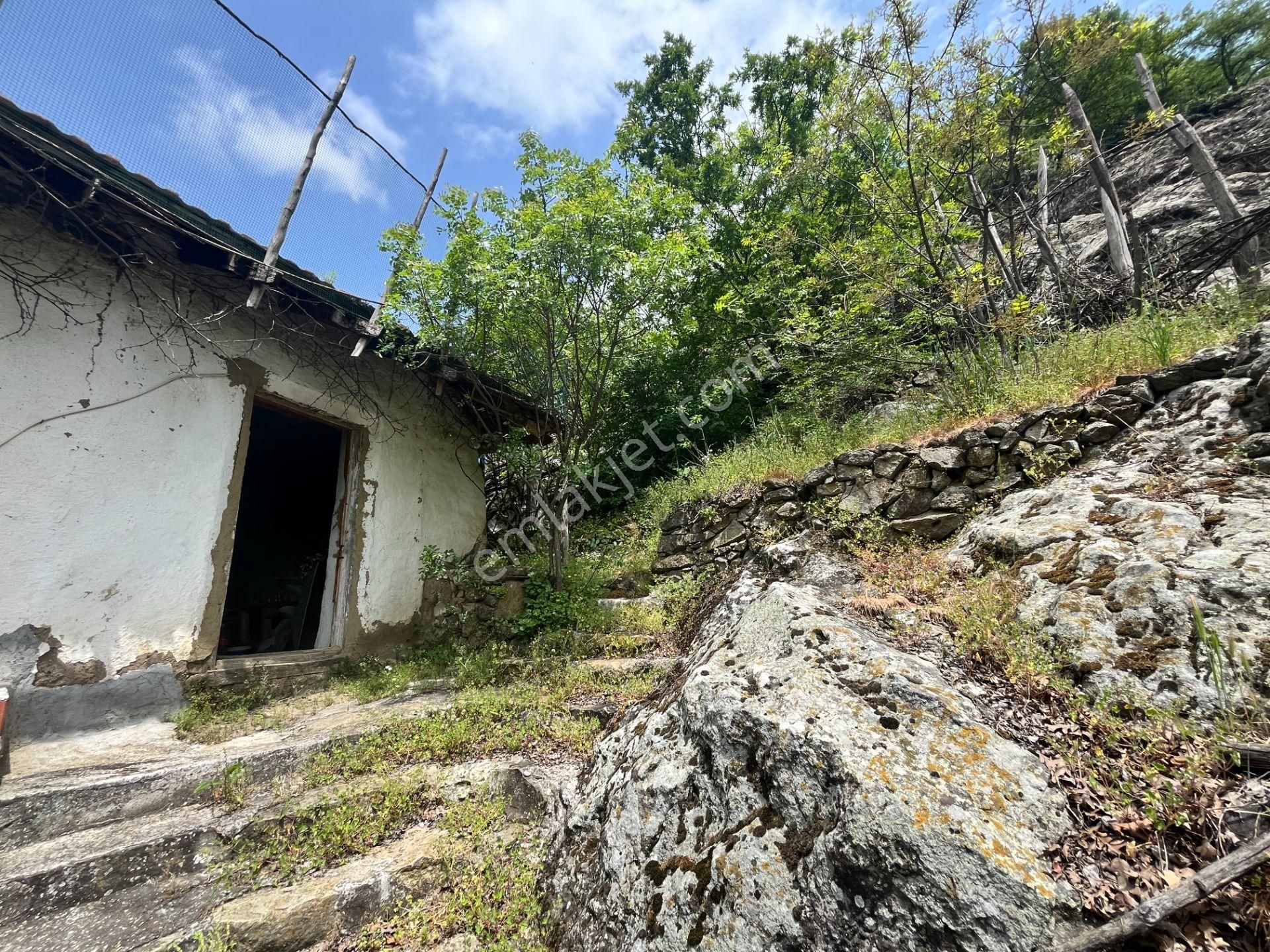 Doğa İçinde Köy Hayatı Arayanlara Satılık Orjinal Köy Evi - Görsel 11