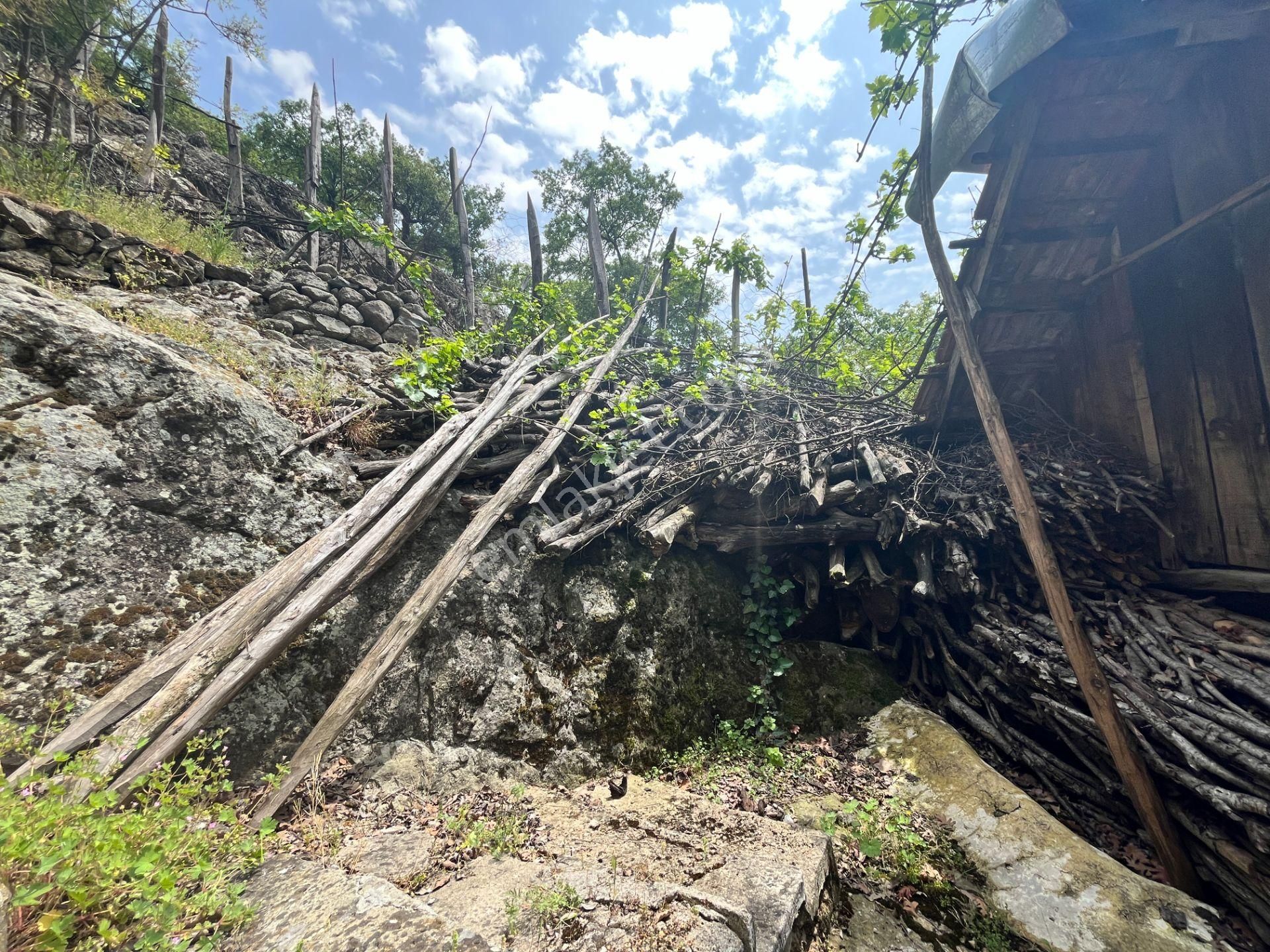 Doğa İçinde Köy Hayatı Arayanlara Satılık Orjinal Köy Evi - Görsel 10