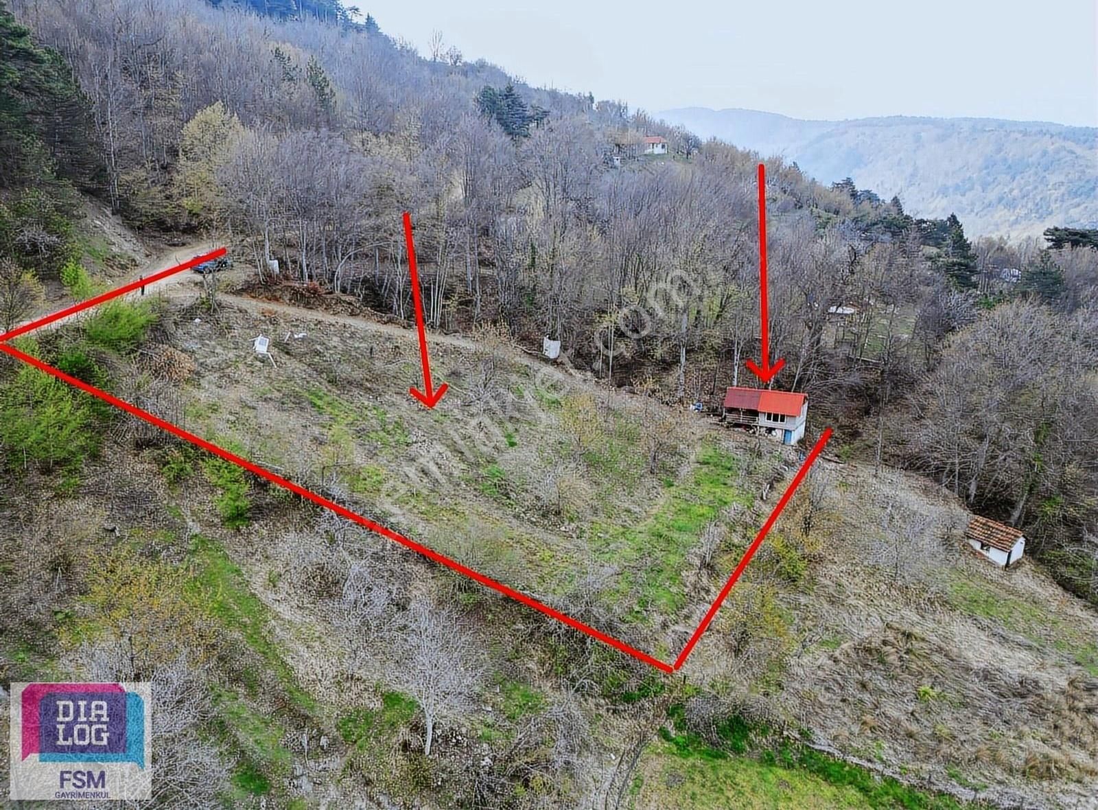 Osmangazi Kirazlı Da 2.462 M2 Tek Tapu Hobi Bahçesi Ve Evi