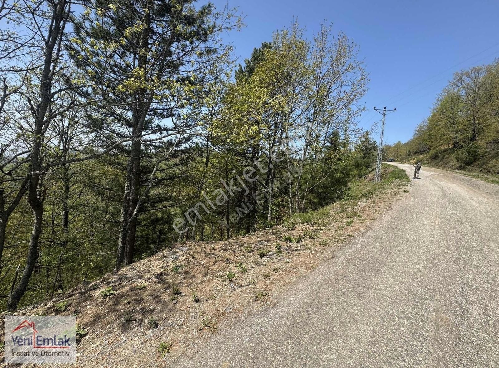 Yeni'den İznik Osmaniyede 7.766 M2 Tarla Yola Cehpeli