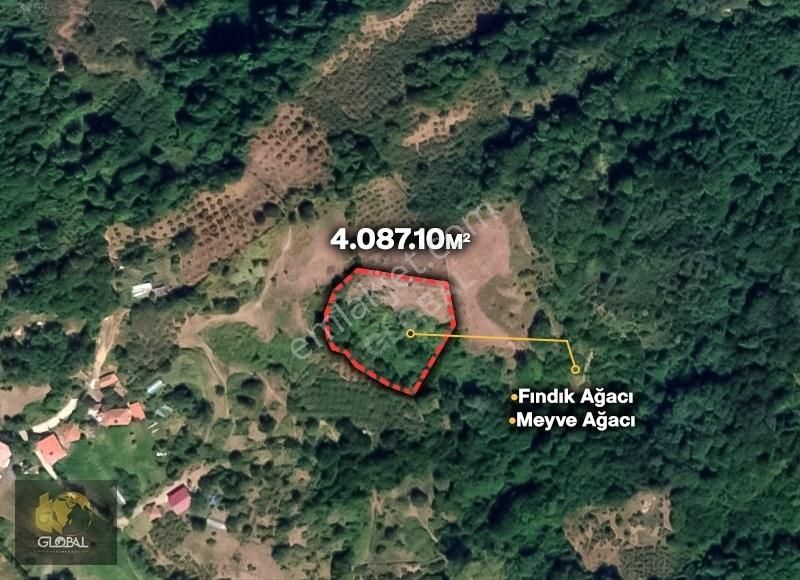 Avara Aliobası Köyünde Satılık Hobi Bahçesi