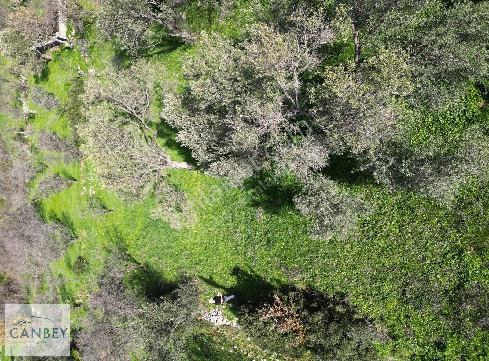 Datça Yazı Mahallesinde Köy Yerleşimine Yakın 420 M2 Tarla