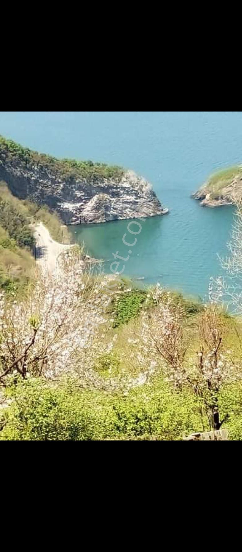 Perşembe Ramazan Mahallesi İmarlı Bahçe 3369m2