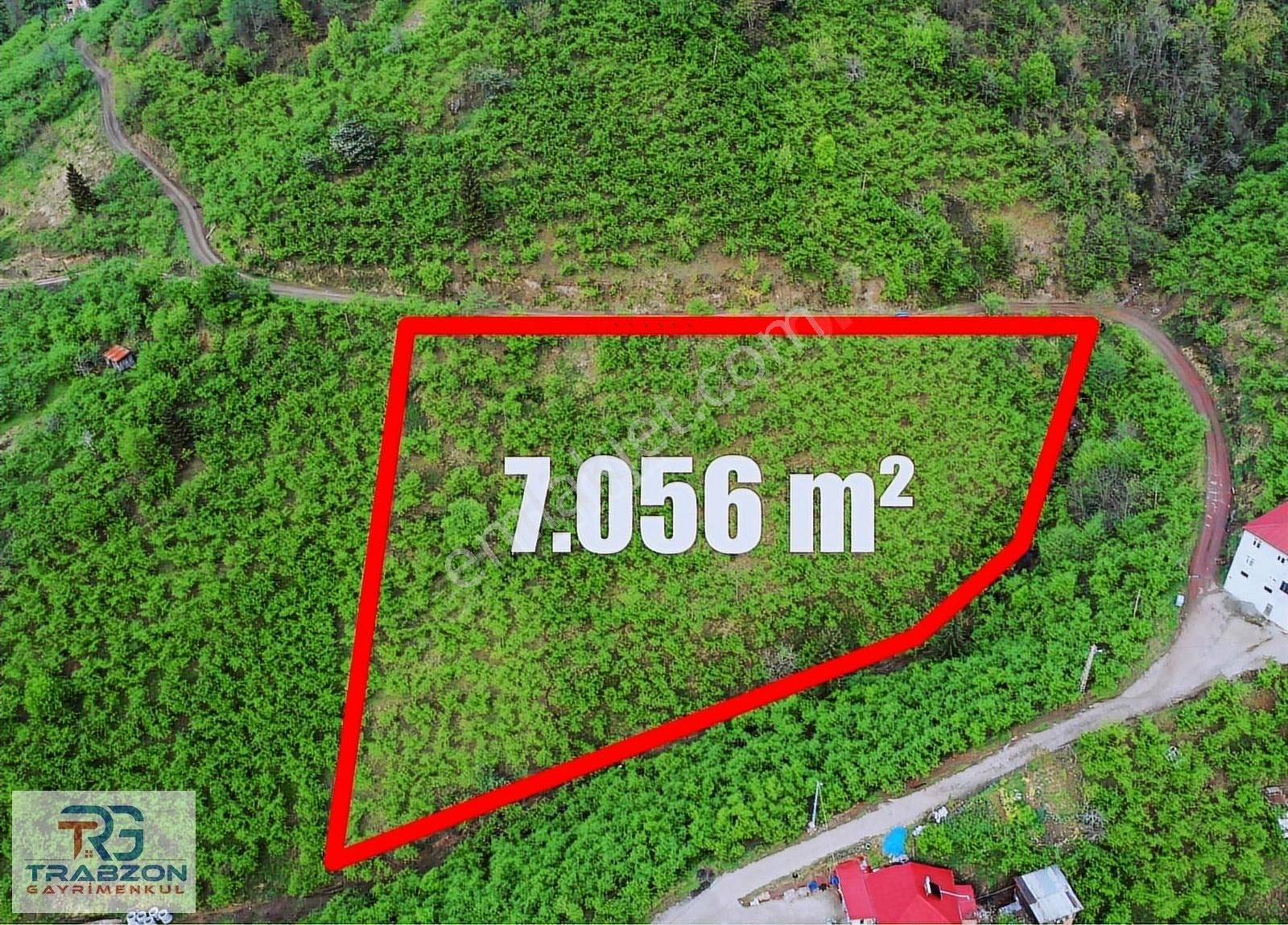Yomra İkisuda Satılık 7 Dönüm Müstakil Arsa