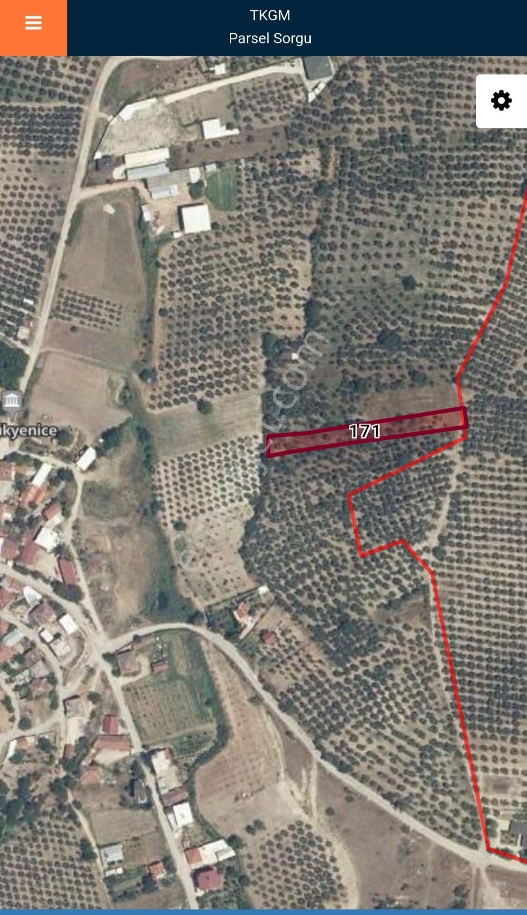 Mudanya Küçükyenice'de Sahibinden Yatırımlık Zeytinlik Arsa - Görsel 13
