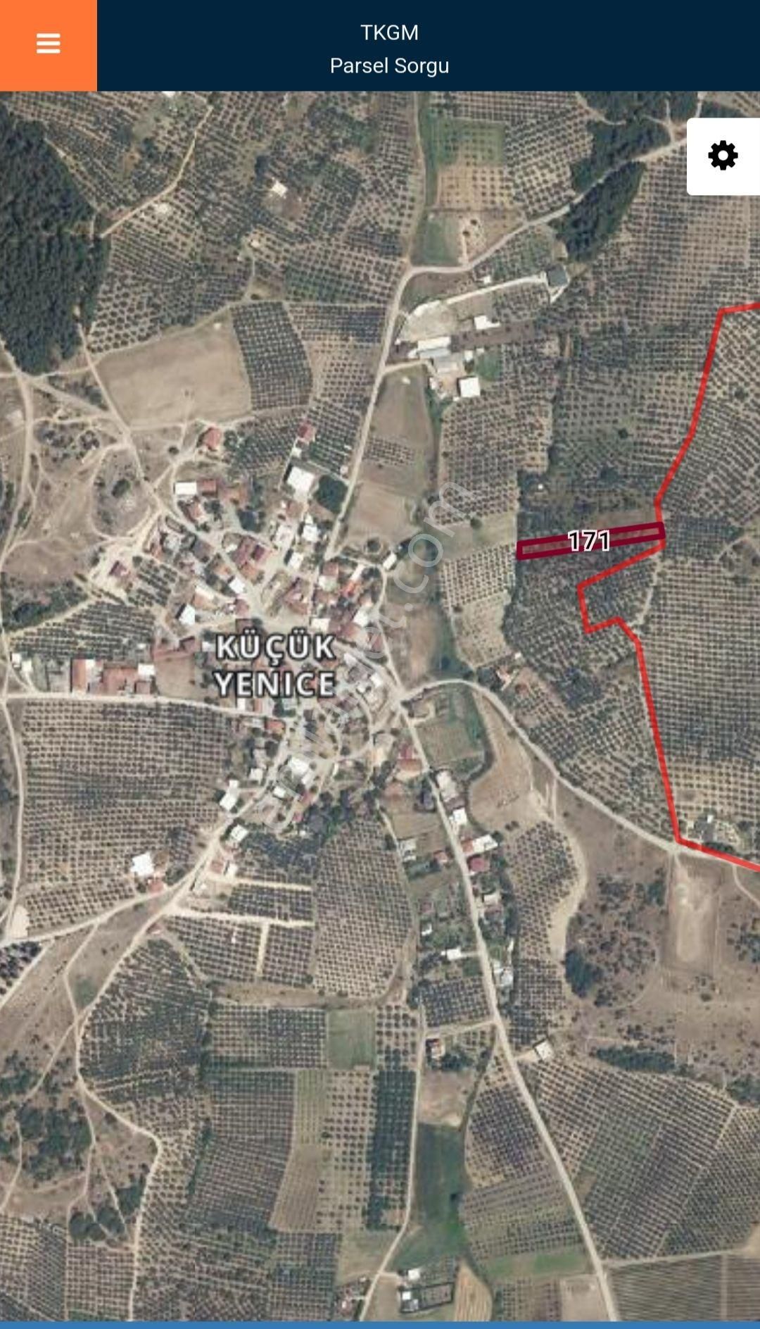 Mudanya Küçükyenice'de Sahibinden Yatırımlık Zeytinlik Arsa