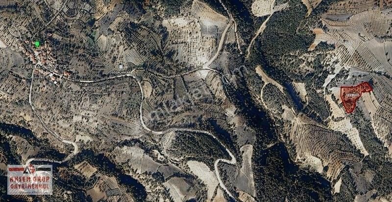 Bilecik Gölpazarı Gözaçanlar Köyünde Yatırımlık Arazi Fırsatı