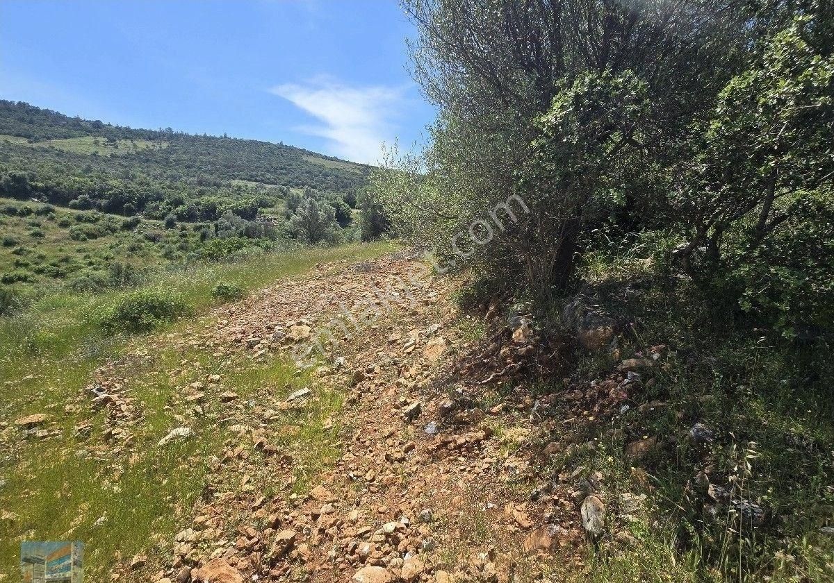 Didim Akyeniköy Akarkuyu Mevkide 20/40 İmarlı305 M² Arsa