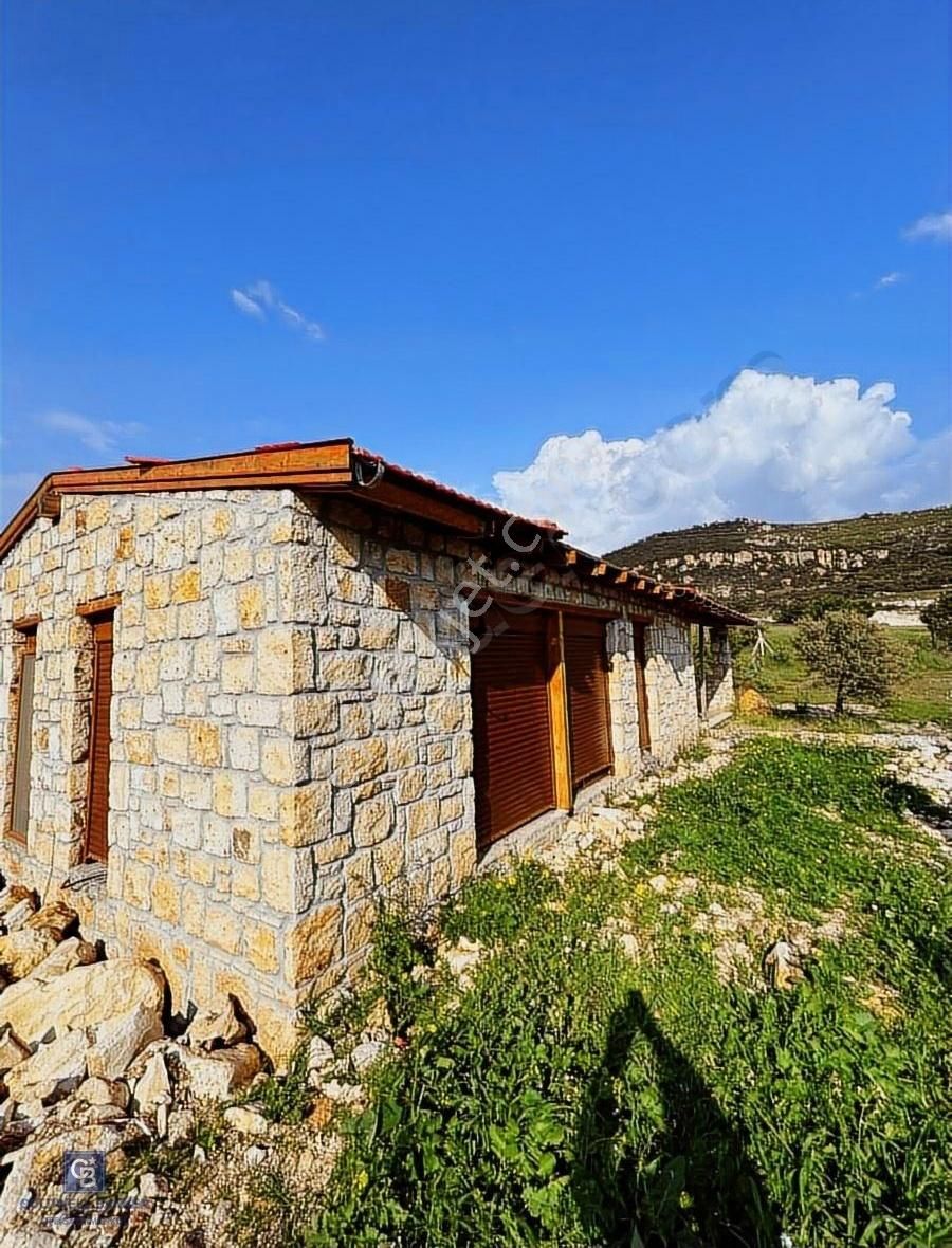 Foça Da Satılık Tarım Arazisi