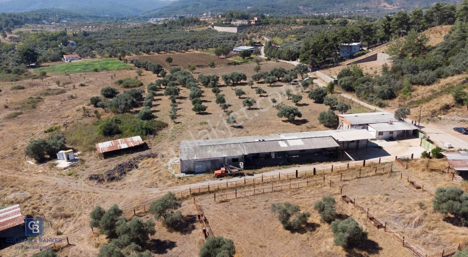 Kemalpaşa Soğukpınar Mevki Satılık Büyükbaş Hayvan Çiftliği