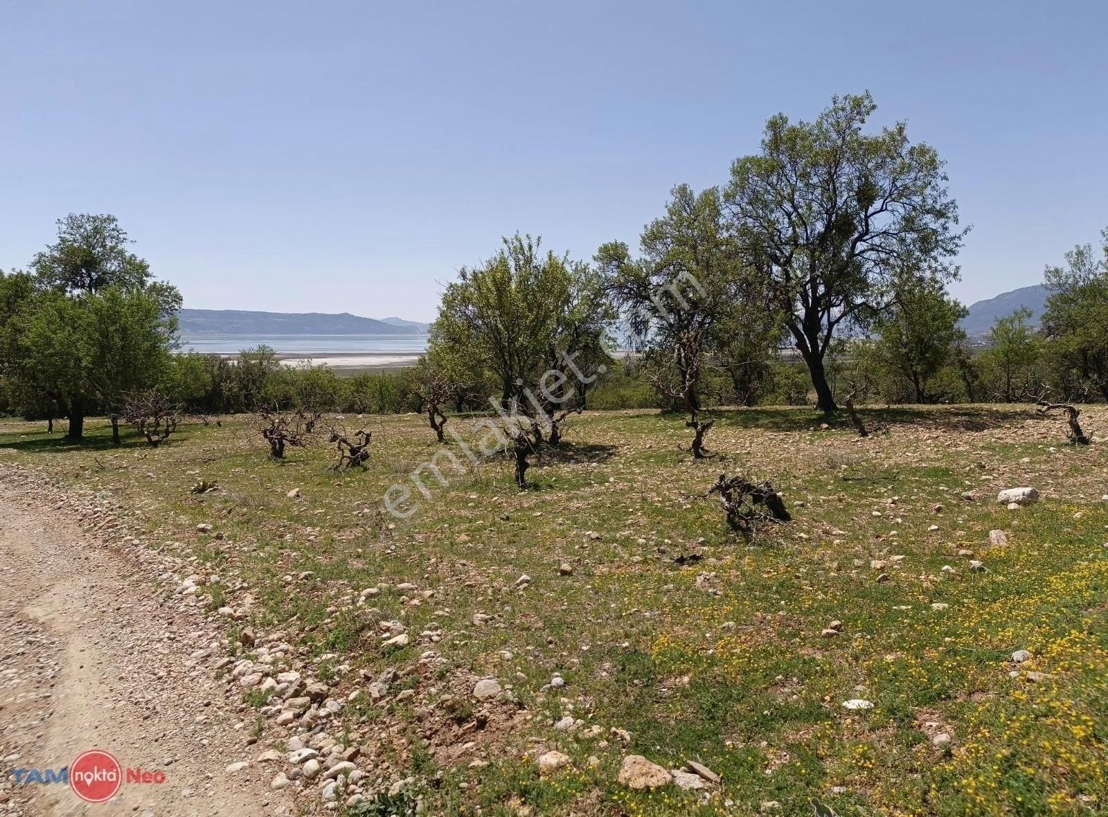 Isparta/keçiborlu/senir Göl Manzaralı Satılık Tarla.