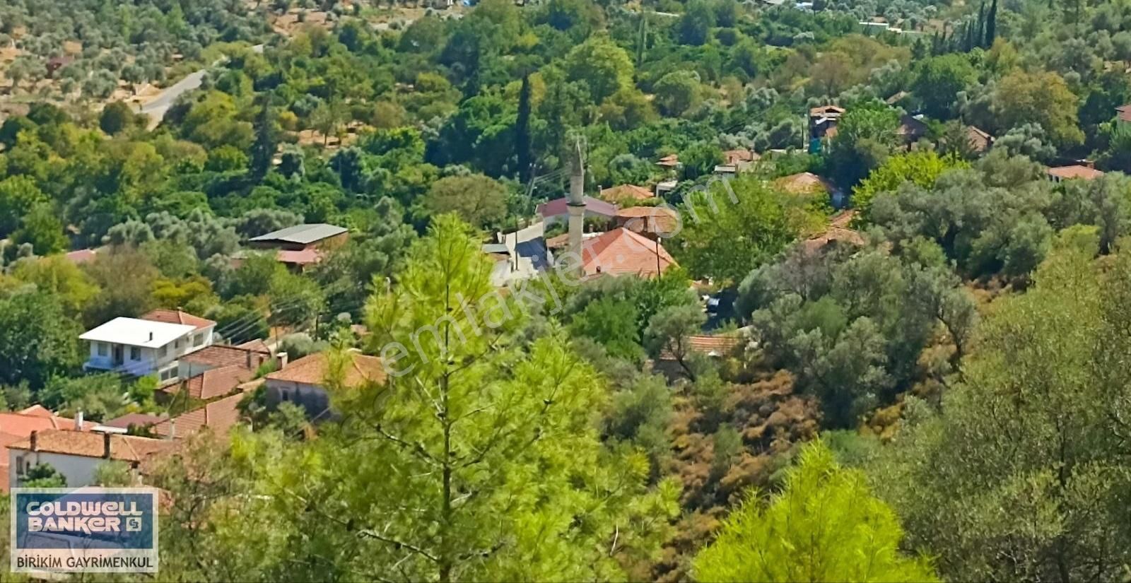 Milas'ın Gözde Köyünde 9155 M2 Panoramik Manzaralı Arazi