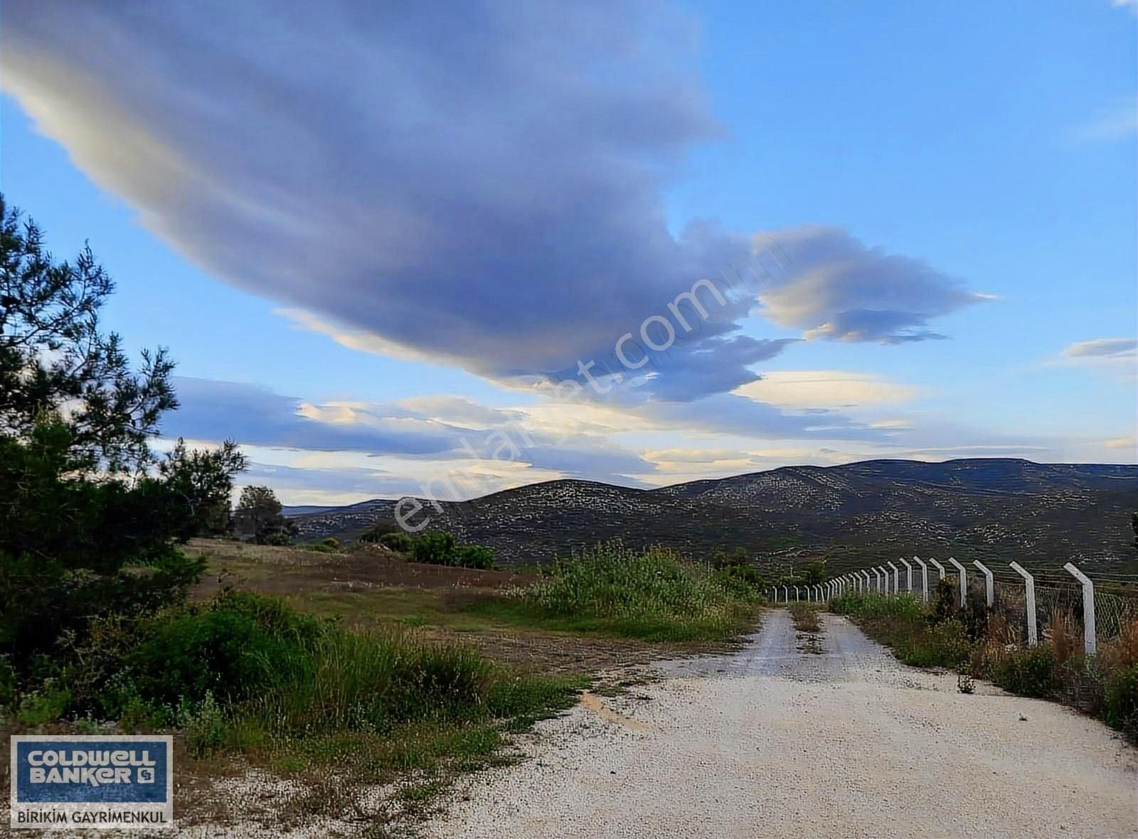 Germiyan'da Satılık Yol Cepheli 589 M2 Tarla
