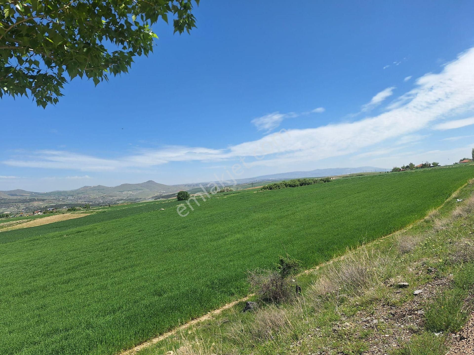 Özdemir Emlak,tan Kıbrıs Köyün De Konut İmarli 200 M2 Satılık Arsa - Görsel 20