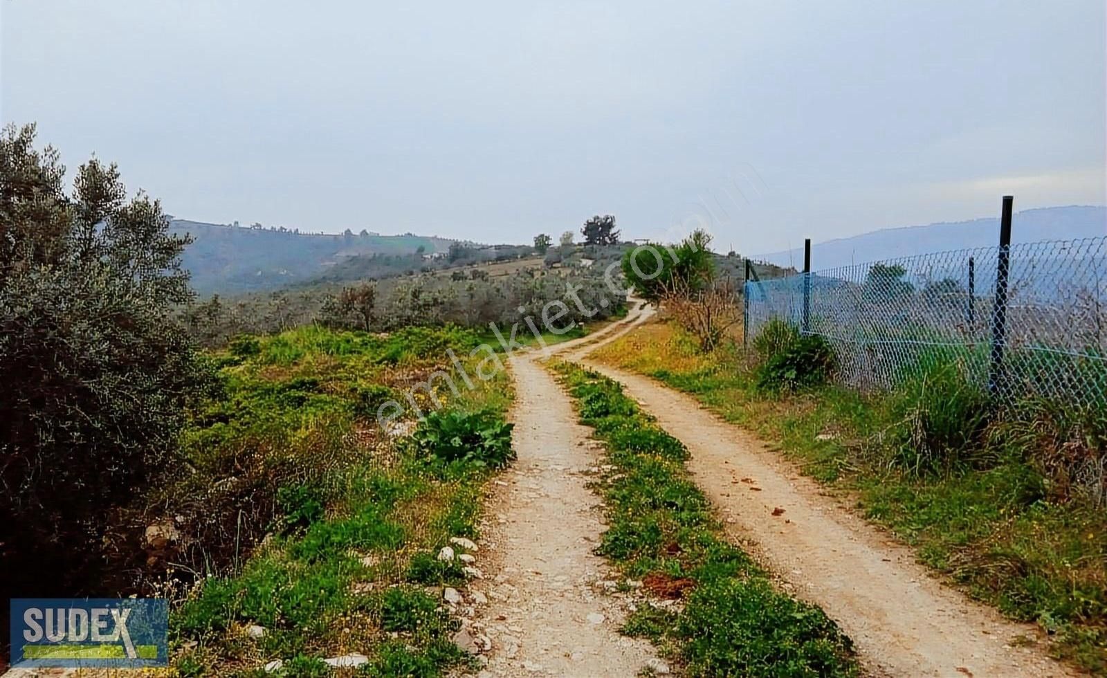 Doruklu Da 2780 M2 Manzaralı Satılık Badem Bahçesi