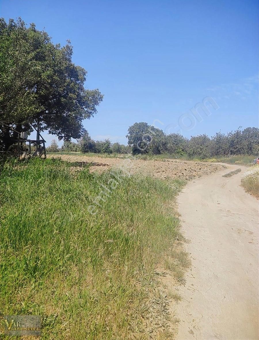 Tekirdağ Ergene Velimeşe 880 M2 Satılık Bağ Yeri