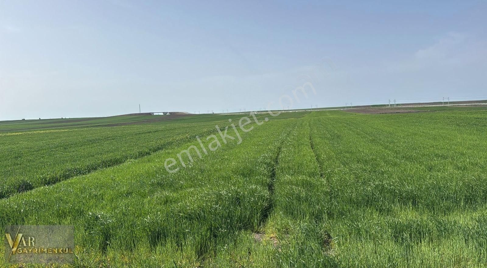 Tekirdağ Ergene Kırkgöz 13 Dönüm Tek Tapu Satılık Kupon Tarla