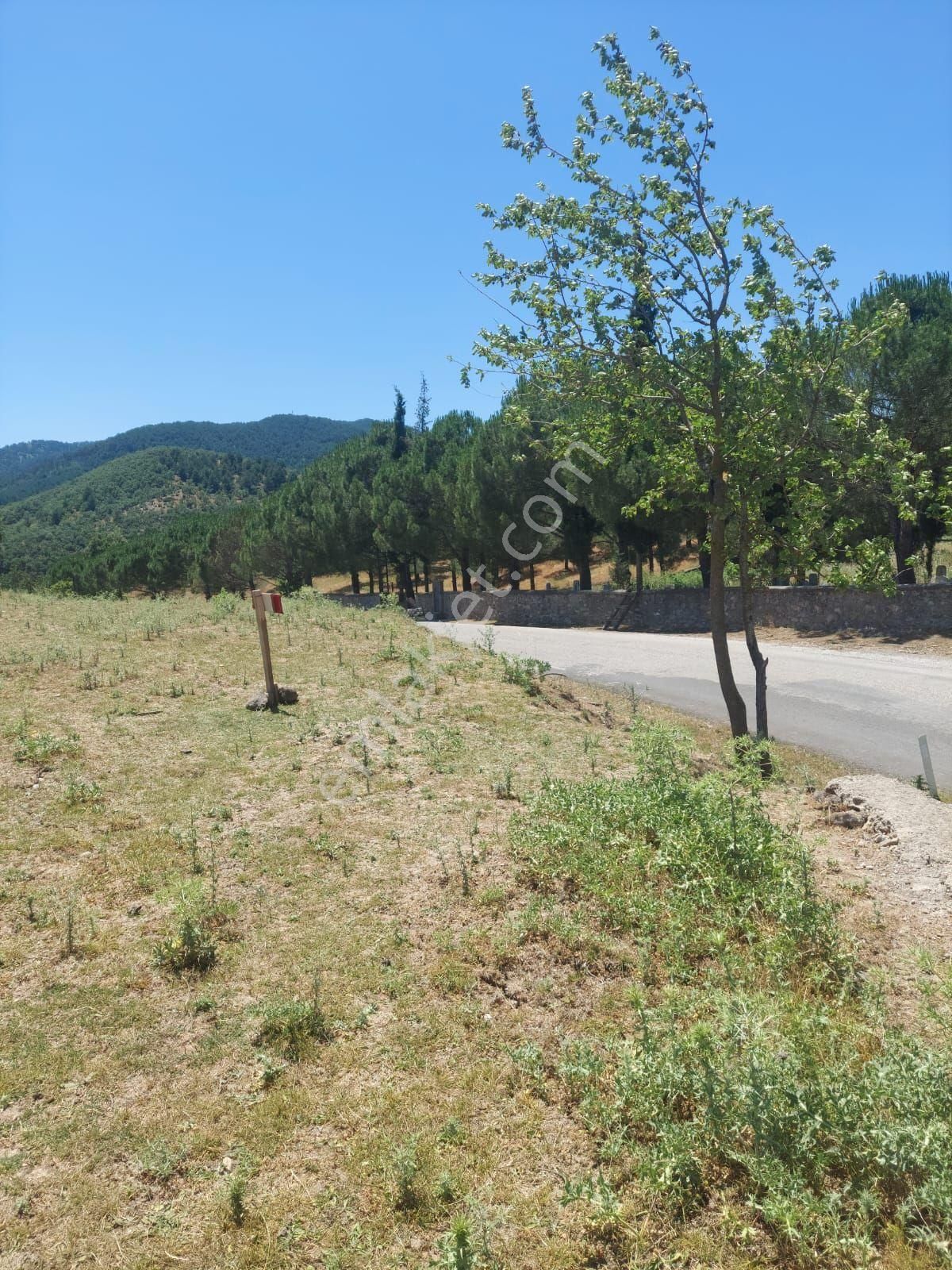Tek Tapu Asfalt Yol Kenarı