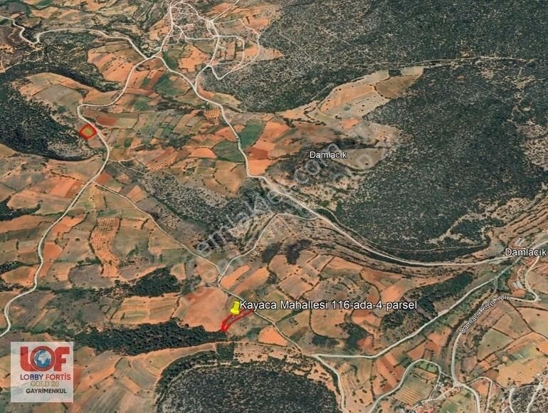 Lobby Fortis'ten Tavas Kayaca'da 2.171 M2 Satılık Hobi Bahçesi - Görsel 7