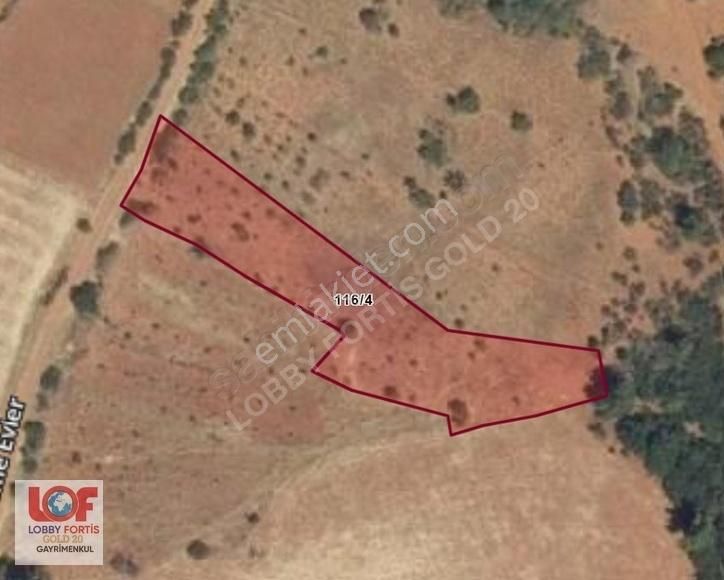 Lobby Fortis'ten Tavas Kayaca'da 2.171 M2 Satılık Hobi Bahçesi - Görsel 6