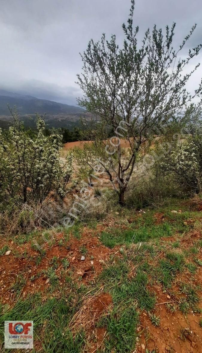 Lobby Fortis'ten Tavas Kayaca'da 2.171 M2 Satılık Hobi Bahçesi - Görsel 9