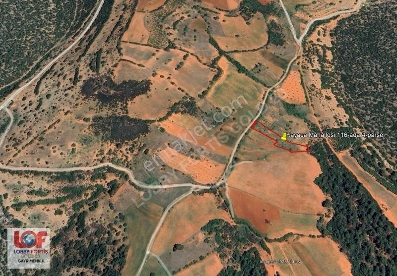 Lobby Fortis'ten Tavas Kayaca'da 2.171 M2 Satılık Hobi Bahçesi