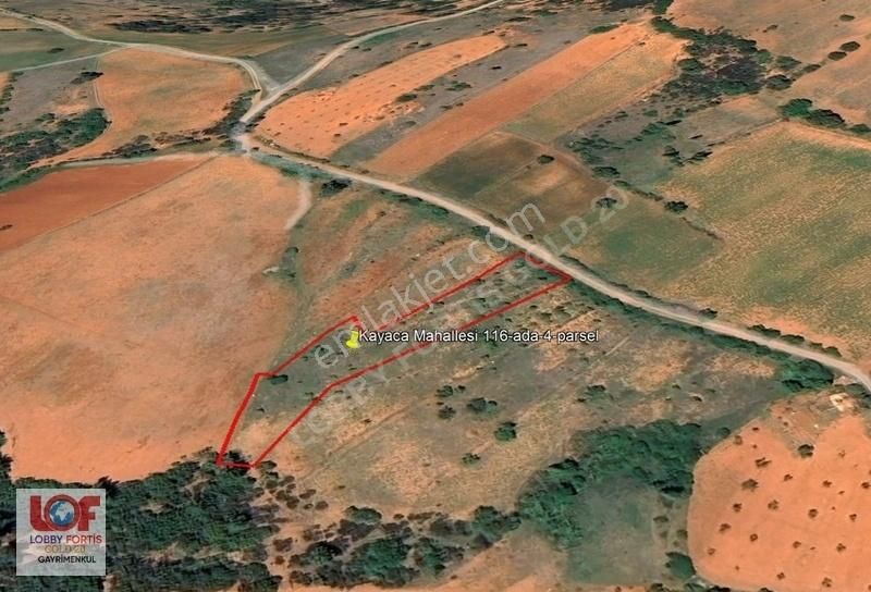 Lobby Fortis'ten Tavas Kayaca'da 2.171 M2 Satılık Hobi Bahçesi - Görsel 8