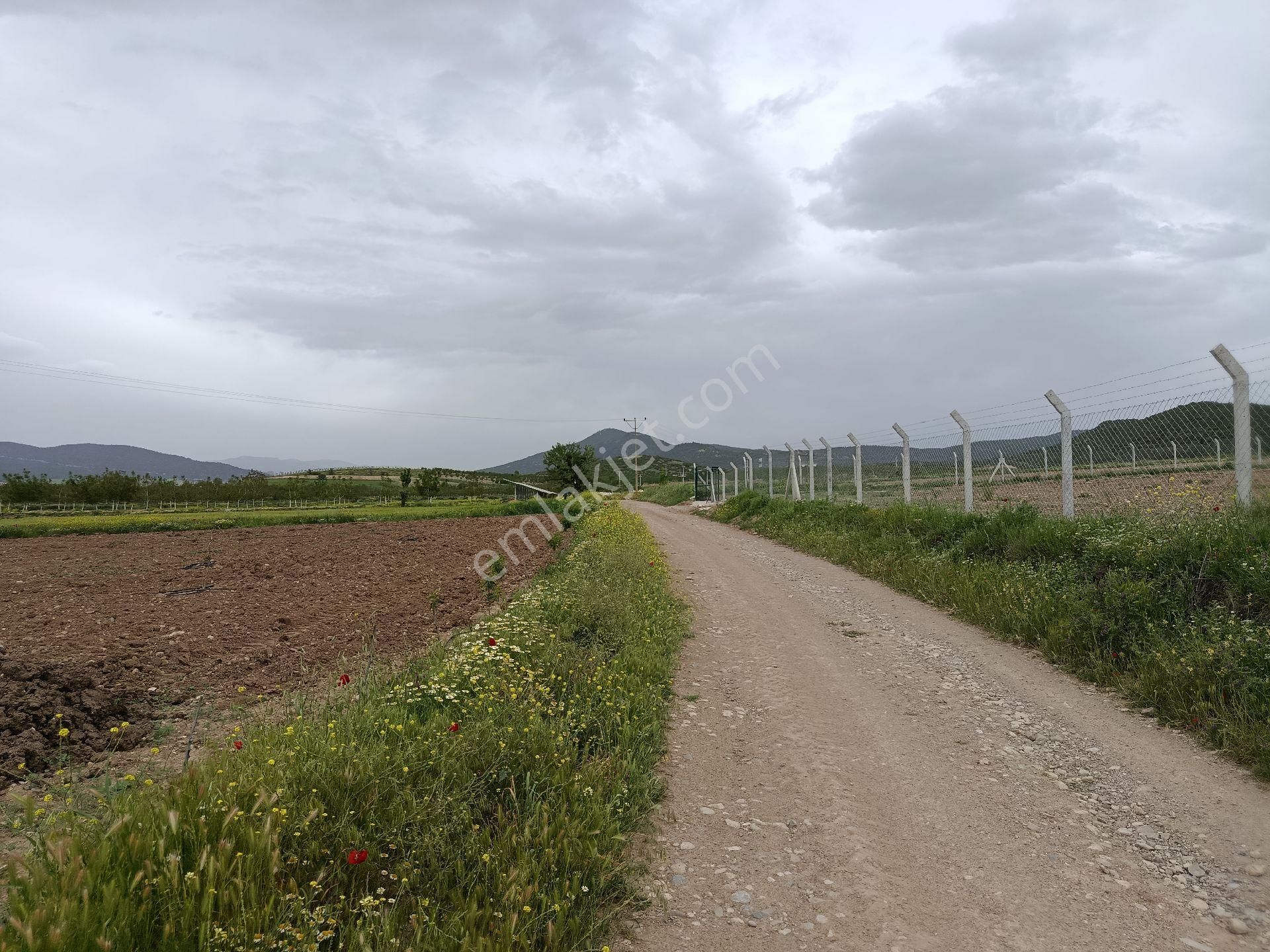 Denizli Bozkurt Alikurt Satılık Tarla