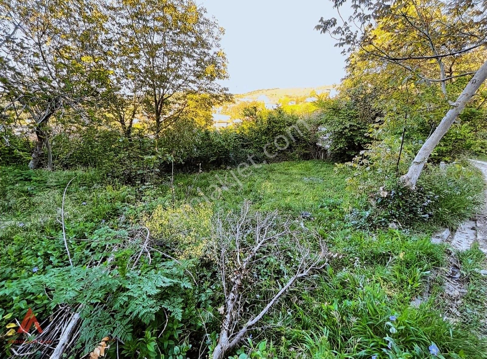 Çok Acil.fiyat Düştü!imarlı 595m2 Arsa Ve 2katlı Kargir Ev