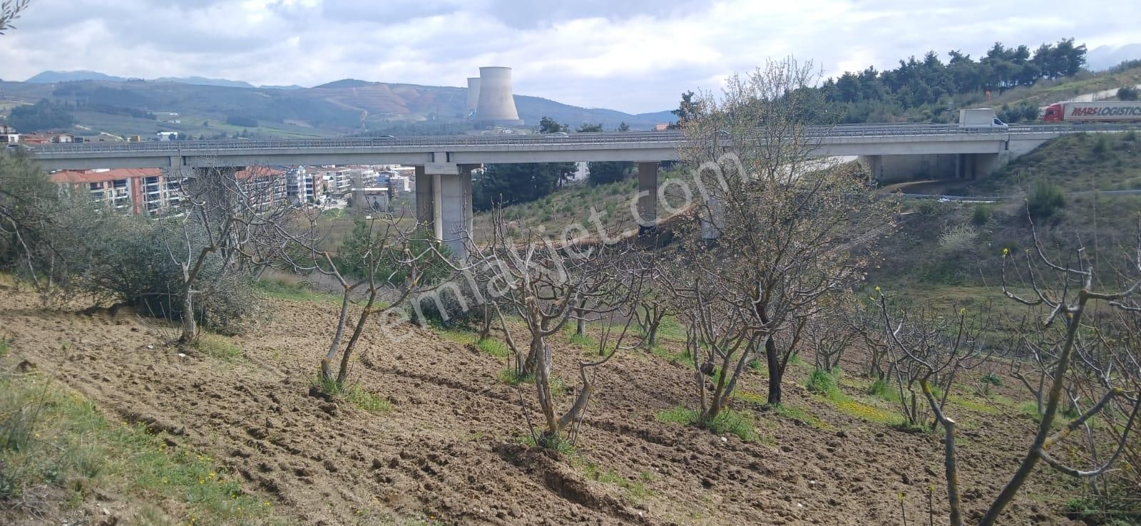 Ovaakçada İmar Sınırında Bakımlı 880 M2 Hisseli İncir Bahçesi