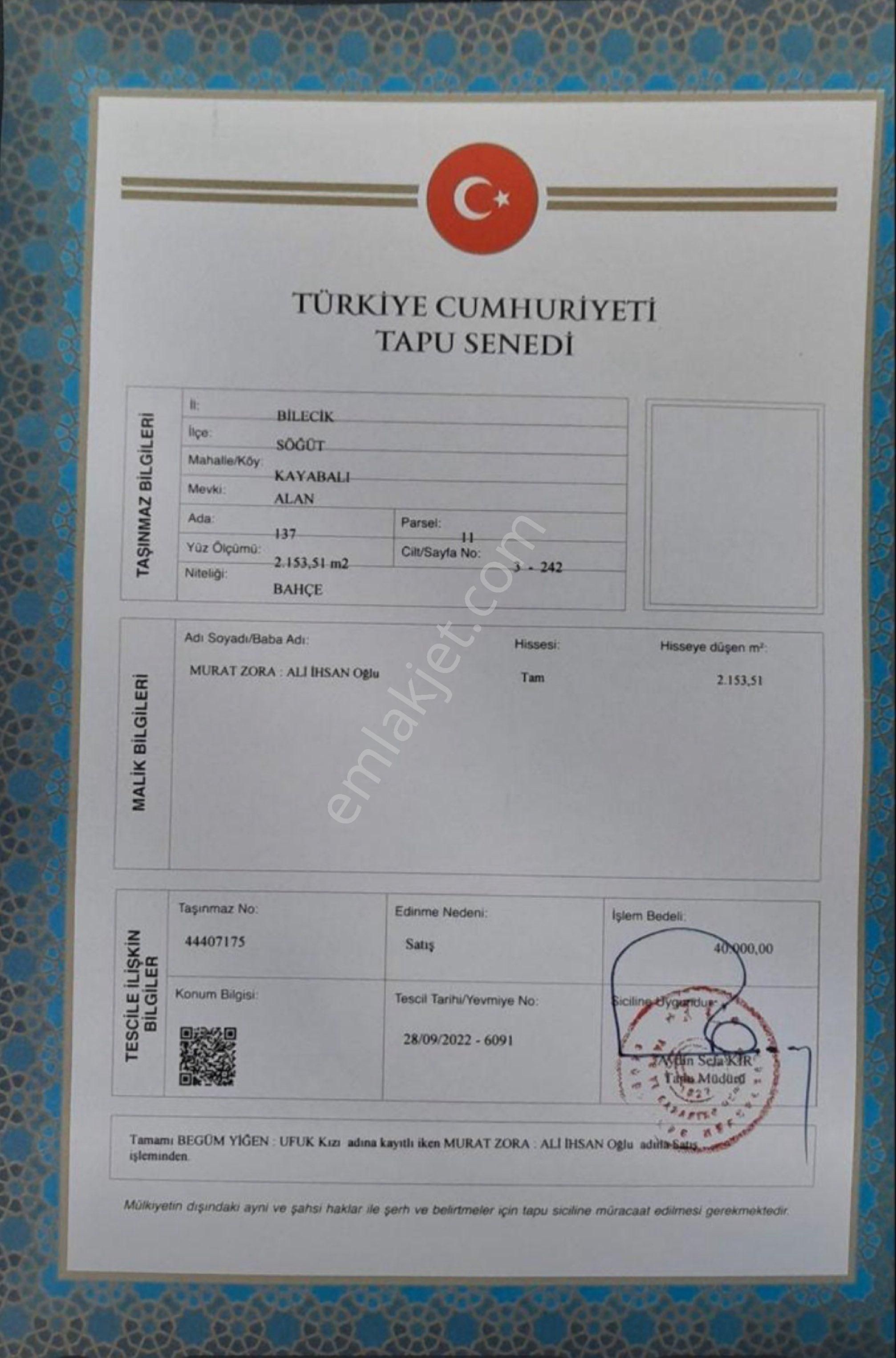 Çok Uygun Fiyata Bahçe Söğüt