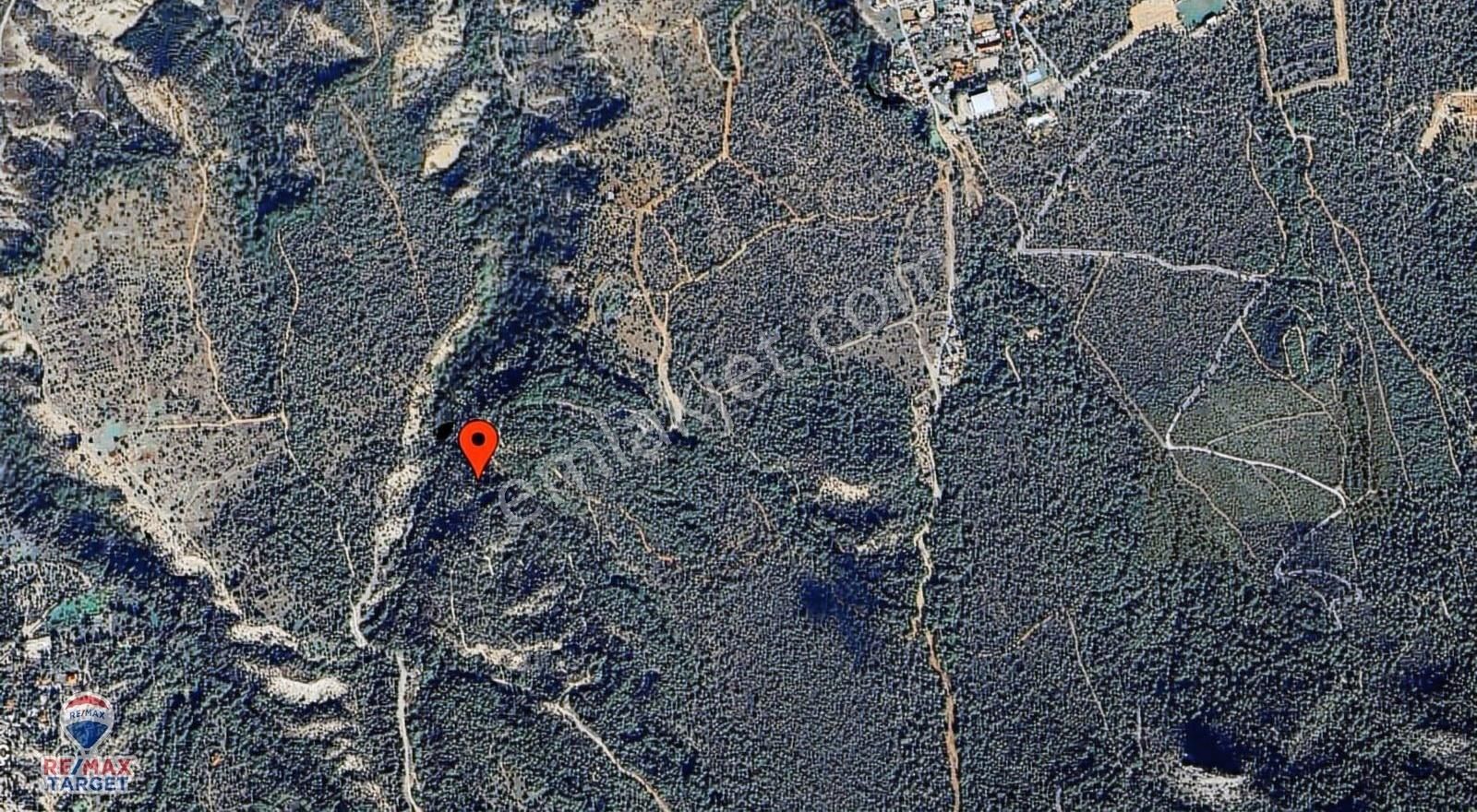 Gırne Esentepe'de Satılık Verımlı 1000 M² Tarla -yatırım Fırsatı