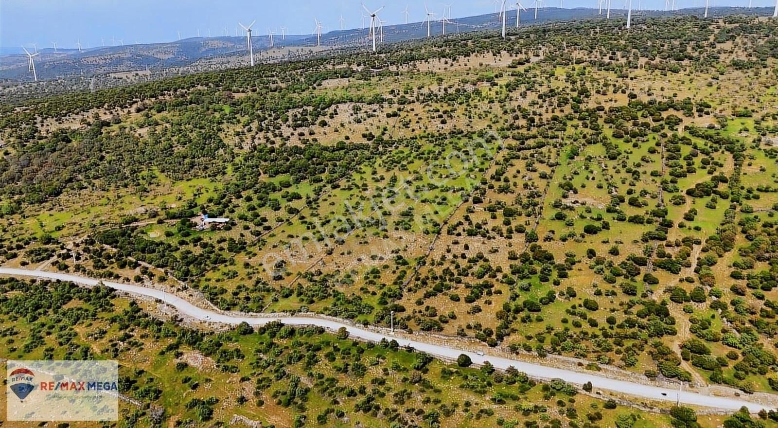 İzmir Aliağa Yüksekköy'de Deniz Manzaralı Fıstıklık