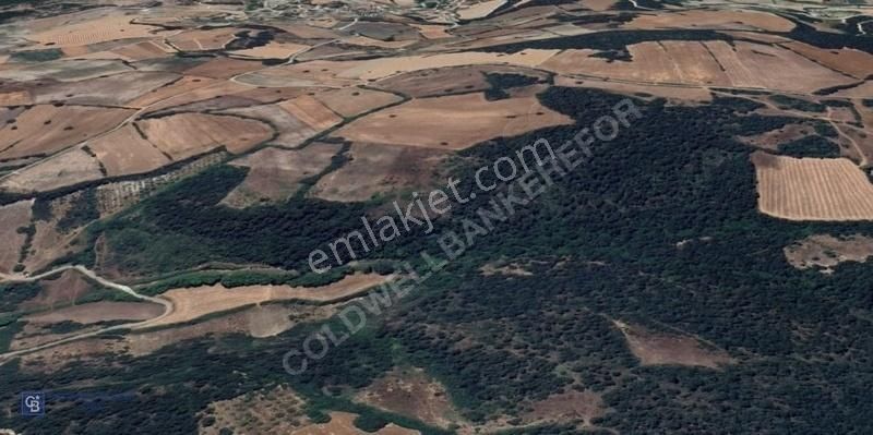Altıeylül Tayyipler Mahallesi Satılık 24400 M2 Tek Tapulu Tarla