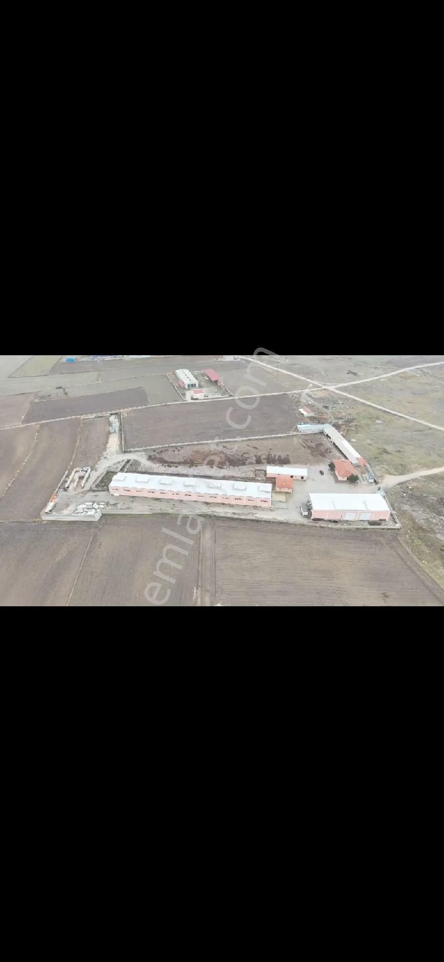 Afyon Ihsanıye Karaca Ahmette 28 Dönüm Arazi İçersinde Son Sistem Satılık Çiftlik