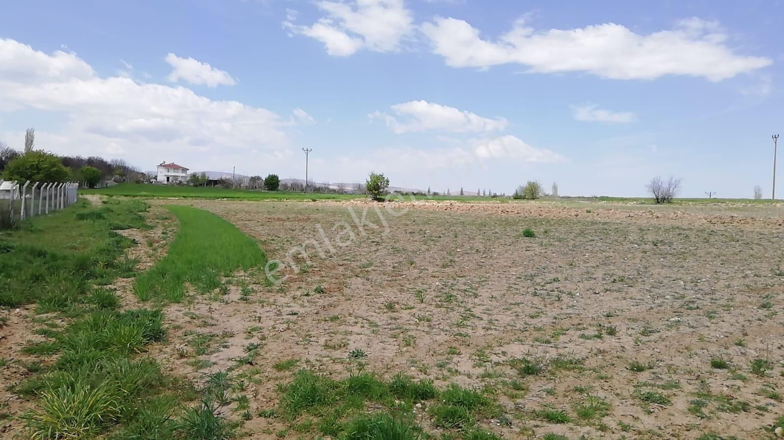 Turanlar Gayrimenkul'den Elazığ Merkez Pelte 'de Satılık Tarla