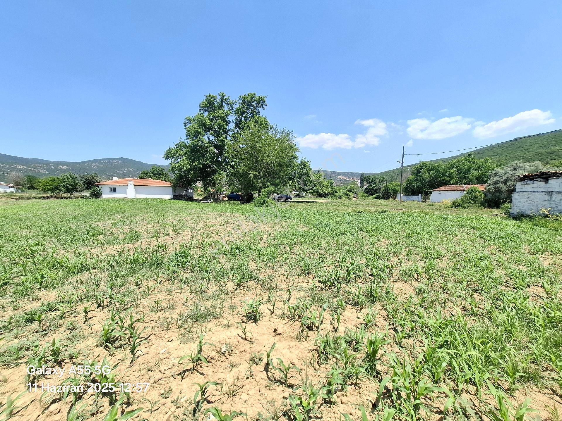 Muğla Merkeze 5dk Mesafesinde Köy Yerleşim Alanında Arazi