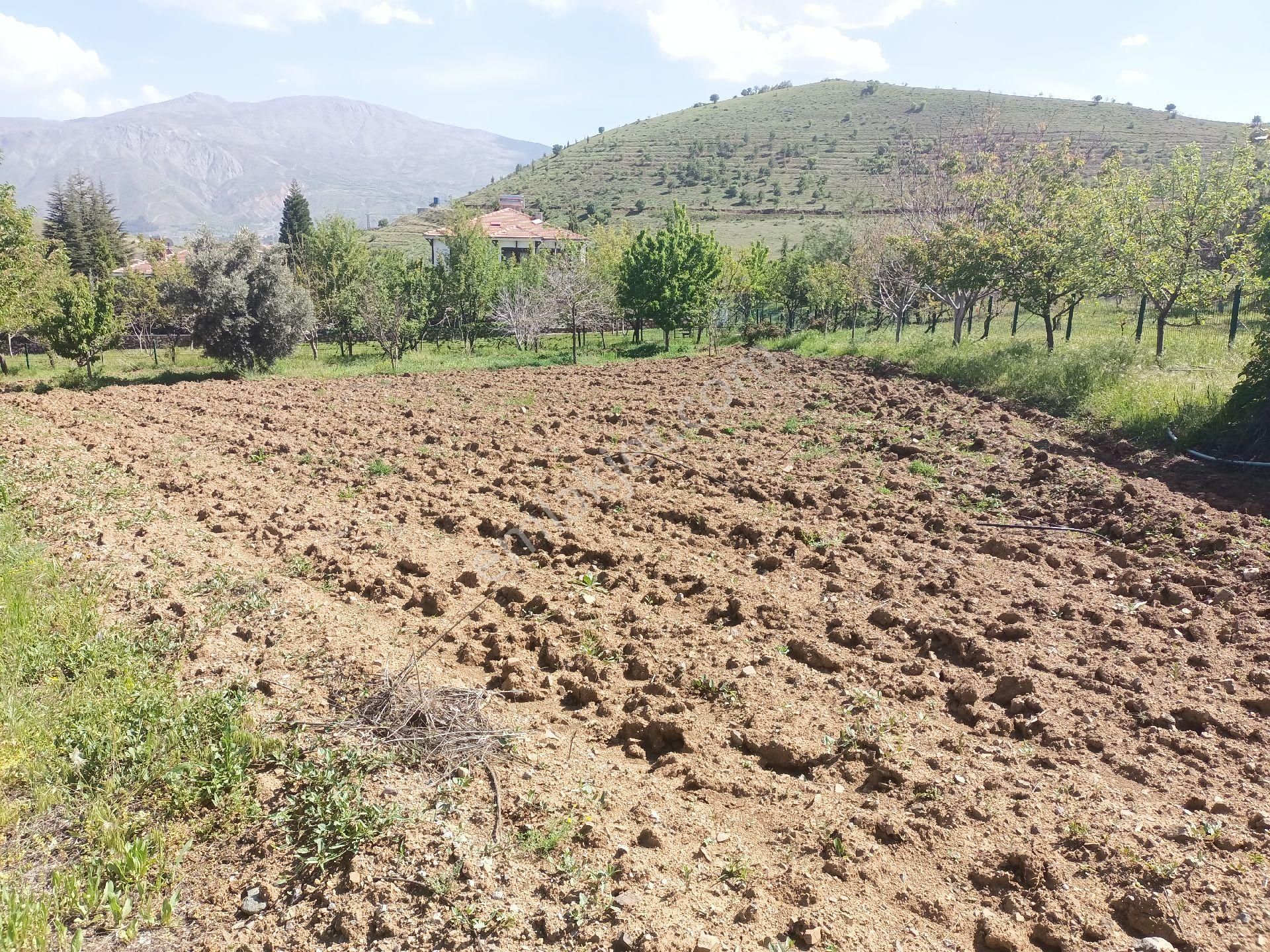 Turanlar Gayrimenkul'den Elazığ Sivrice'de Göl Manzaralı Villa İmarlı Fırsat Arsa