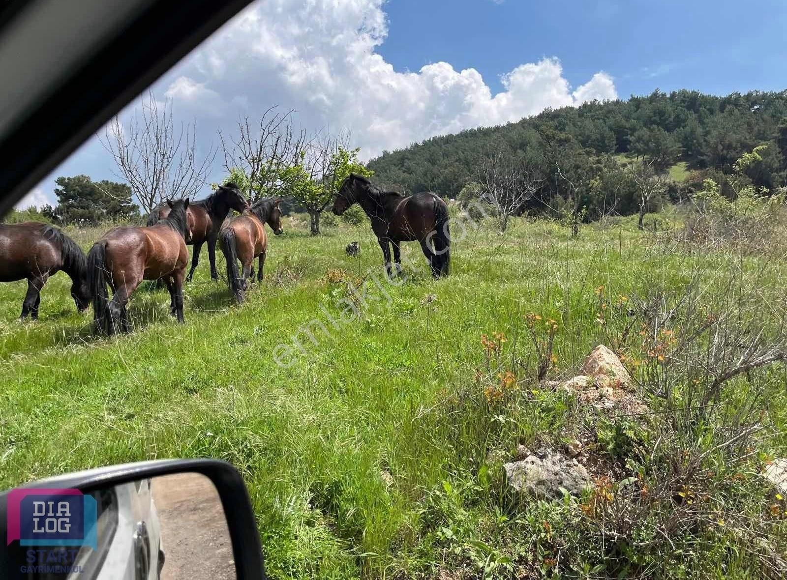 Kemalpaşa Damlacıkta Full Manzaralı 350 M2 Satılık Arsa