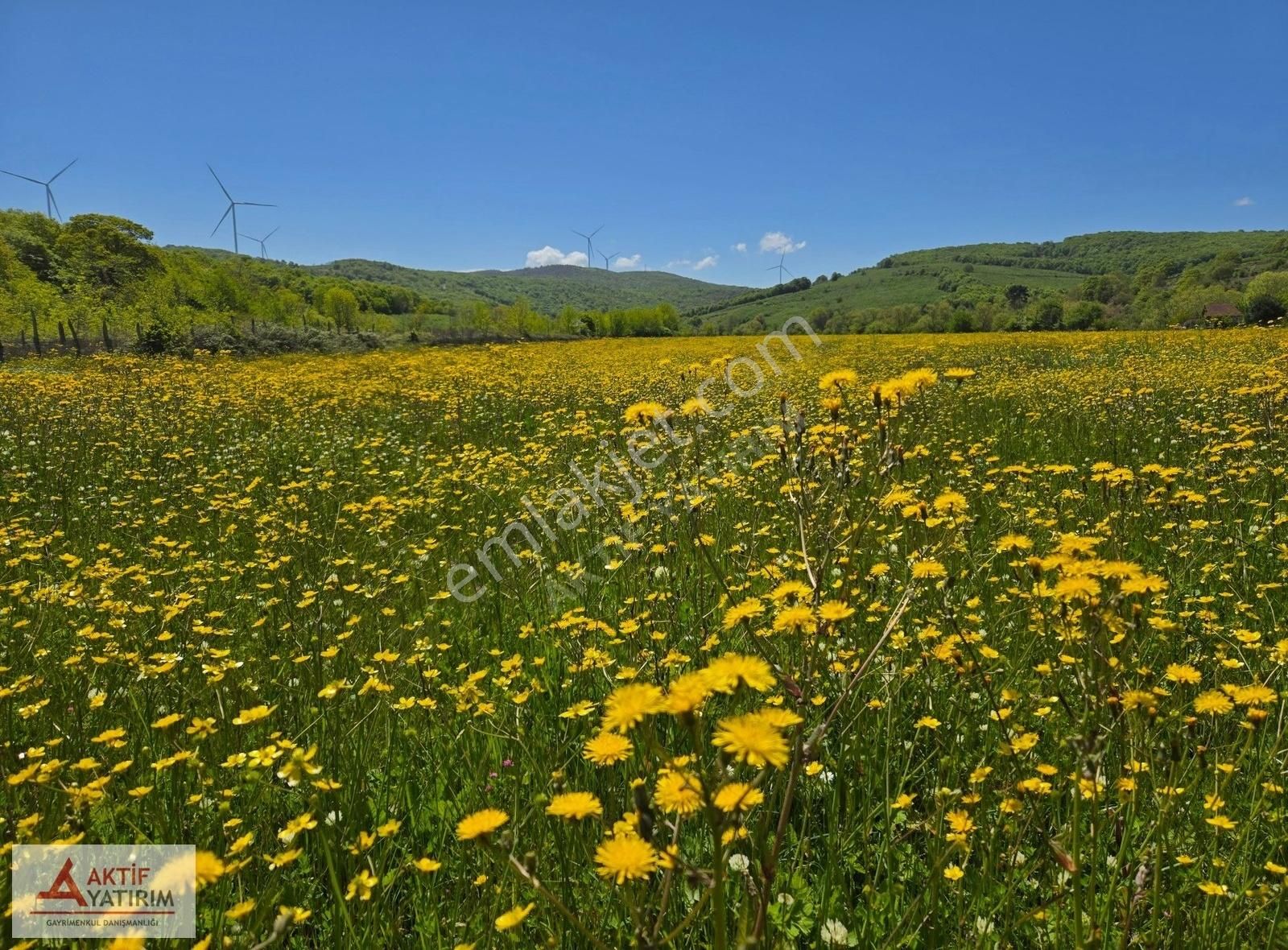 Bağırganlı'da Plaja 700 Metre Mesafede 3566 M2 Kelepir Tarla