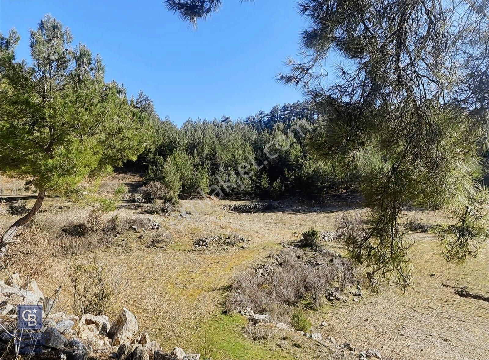Muğla Menteşe Sarnıç Satılık Arazi